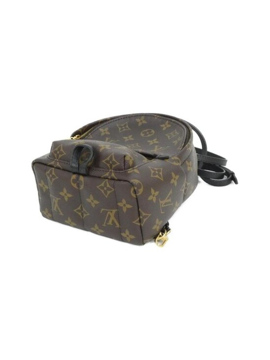 Louis Vuitton Monogram Palm Spring Backpack Mini Sac